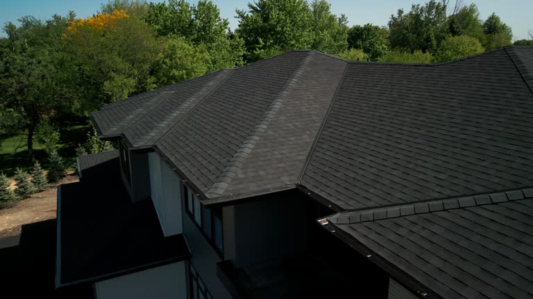 Best Roof Moss and Algae Removal  in Aledo, IL