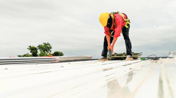 Best Solar Panel Roofing Installation  in Aledo, IL