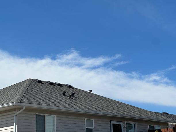 Best Cold Roofs  in Aledo, IL